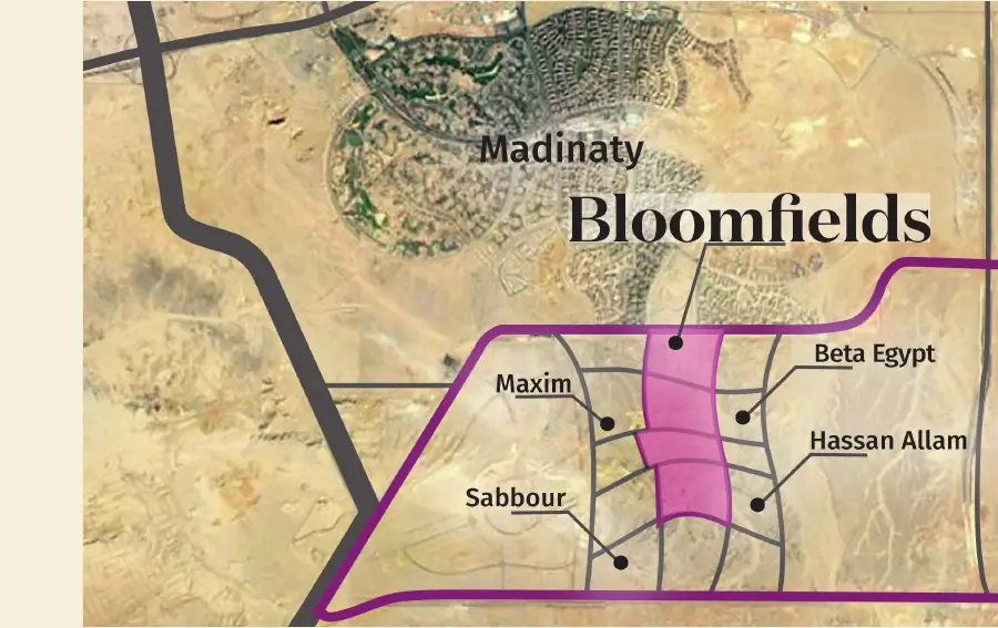 صورة من المشروع